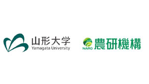 山形大学.jpg