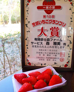 茨城いちごグランプリで大賞を受賞