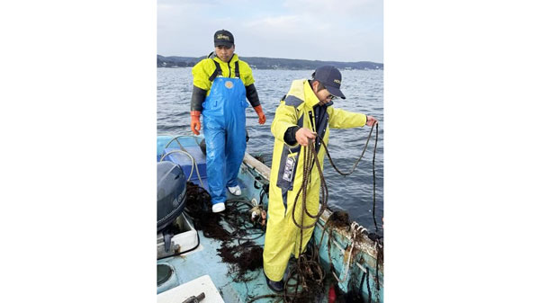 アカモクの生育状況を確認している様子