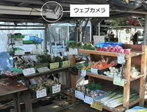 直売所に設置された見えベジカム