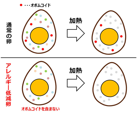 加熱によるタンパク質の変化の違い（キューピー提供）