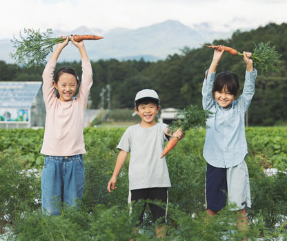野菜収穫体験