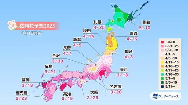 各都市の桜開花予想