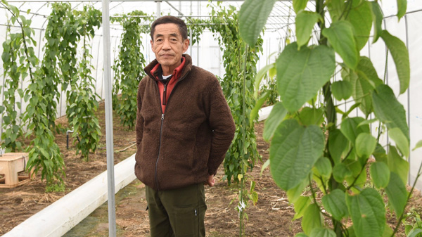 新潟市の花木生産農家が「事業承継マッチングプラットフォーム」で後継者を募集　リレイ