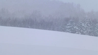 農畜産物のコンテナ600個が貨物駅滞留　北海道の大雪影響