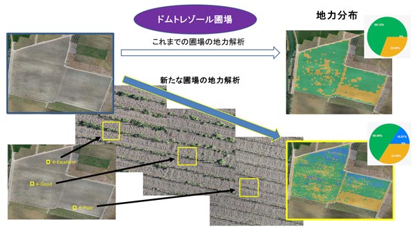 ブドウ畑の地力分布