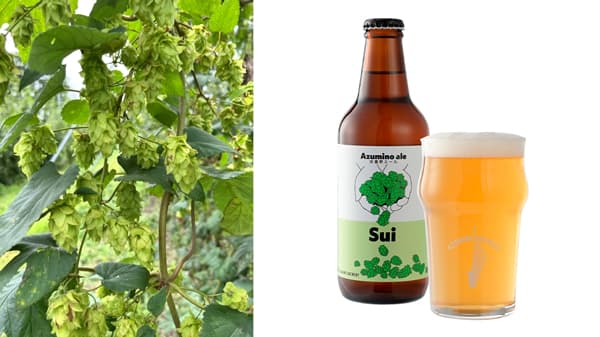 「安曇野ブルワリー」オンラインストアをオープン 「農家のクラフトビール」販売