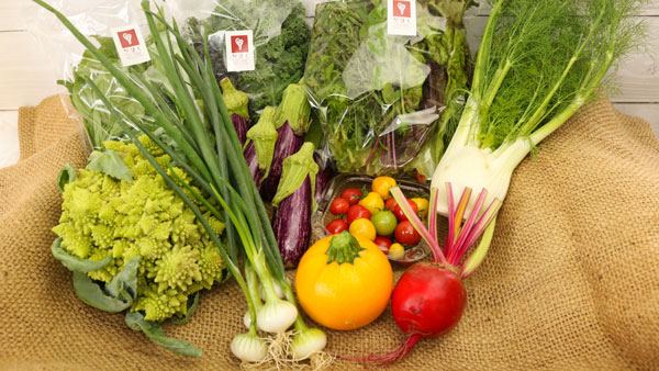 かほくイタリア野菜と地元産野菜の旬のおまかせセット