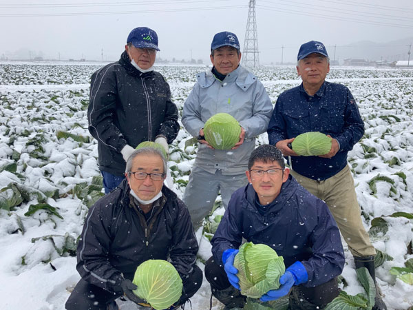 「東近江のキャベツ」生産者