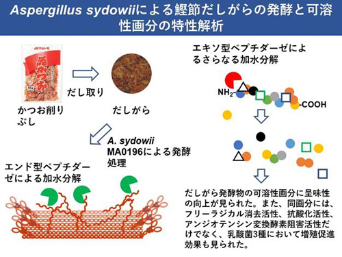 第75回日本生物工学会大会「Topics of 2023」に研究内容が選出　マルトモ