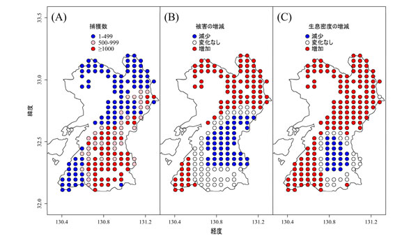 図1. 2009年から2017年の熊本県におけるシカの捕獲数（A）、林業被害の増減傾向（B）およびシカの生息密度の増減傾向（C）