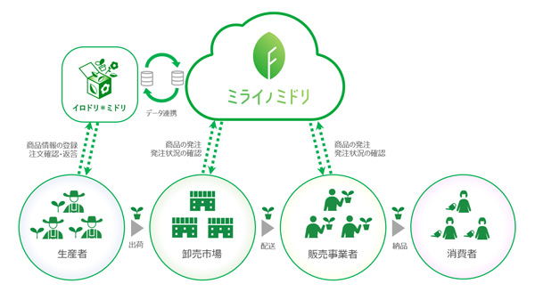 花き流通プラットフォーム「ミライノミドリ」リリース　豊明花き