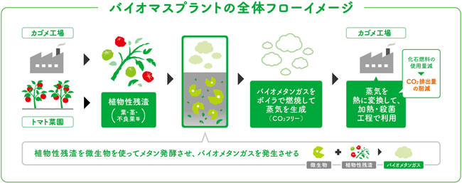 バイオマスプラントの全体フローイメージ