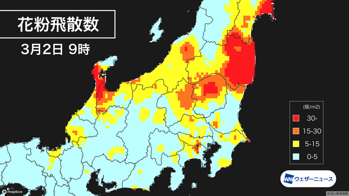 花粉飛散数のリアルタイムデータを無料で公開　ウェザーニューズ