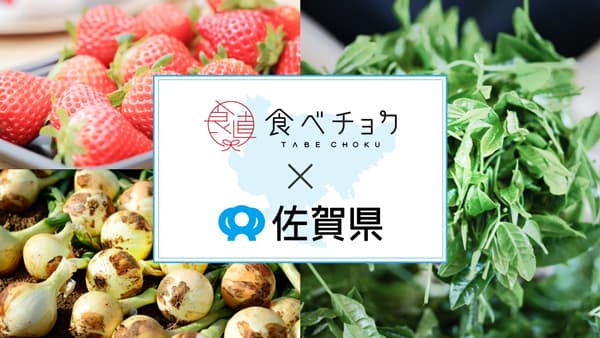 食べチョクと2度目の連携　伴走型で生産者の販路拡大を継続支援　佐賀県