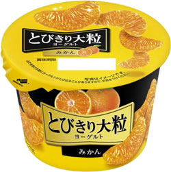 季節限定の「とびきり大粒ヨーグルト みかん」