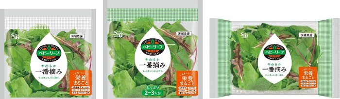 フレッシュハーブ「ベビーリーフ」