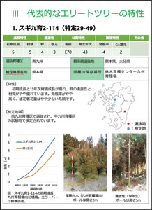 代表的なエリートツリーの特性