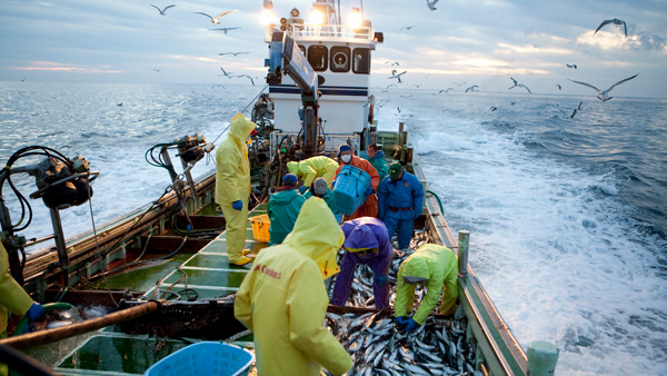 福島の魚を食べよう　農水省「あふ食堂」など6省庁の食堂で「水産フェア」開催