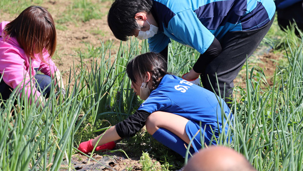 子どもも参加し、農業体験の機会になっている「GRFボランティア」