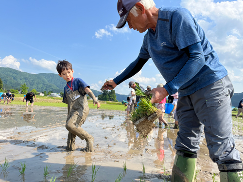 生産者とともに都市部ではできない田植えや試乗体験（2024年度開催時）