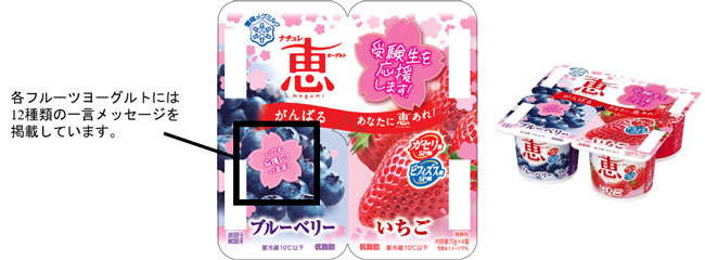 「ナチュレ 恵 megumi ブルーベリー＋いちご」（70g×4）の受験生応援パッケージ一例