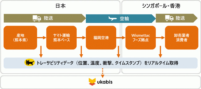 熊本県からシンガポール・香港にイチゴを輸出実証した際の運用フロー