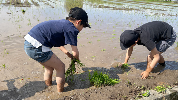 田植え体験ではみんなで一緒に泥んこに