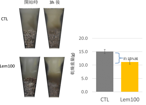 図3：GDSを用いて観察された消化挙動および未消化物の乾燥物重量 乾燥