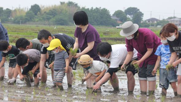 2021年度の「田んぼのがっこう」の様子