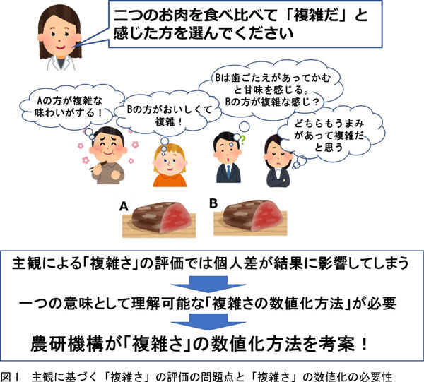 図：主観に基づく「複雑さ」の評価の問題点と「複雑さ」の数値化の必要性