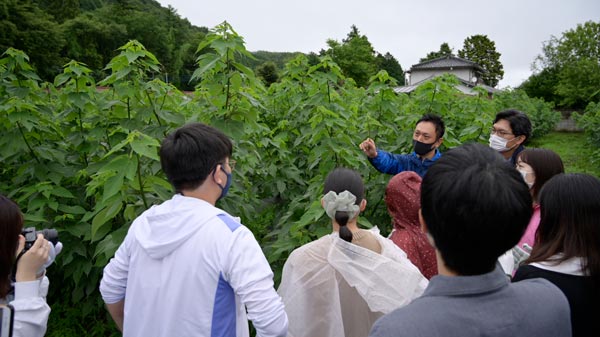 埼玉県小川町の「楮」地域の