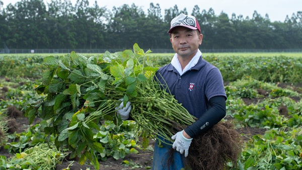 「だだちゃ豆」の生産農家