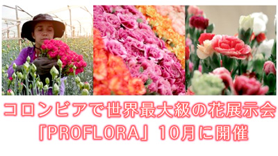 南米コロンビアで世界最大級の花展示会「PROFLORA」10月に開催
