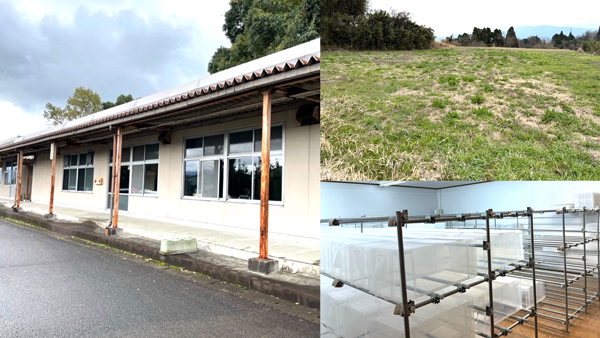 飼育場所と桑畑予定地