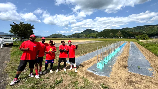 多国籍プロ耕作放棄地で米や野菜作り