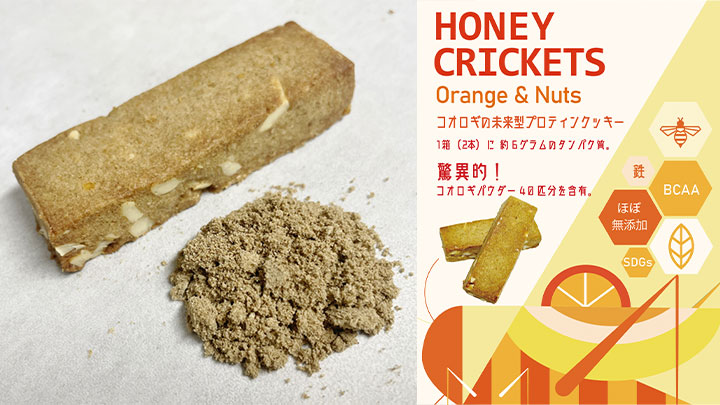 1本にコオロギ20匹分　プロテインクッキーバー「Honey Crickets Orange&Nuts」新発売