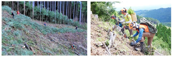 GREEN FORESTERSによる造林未済地の再植林の様子