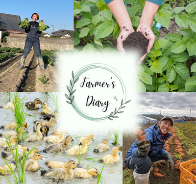 関西における農業の魅力発信プラットフォーム「Farmer's Diary」開始
