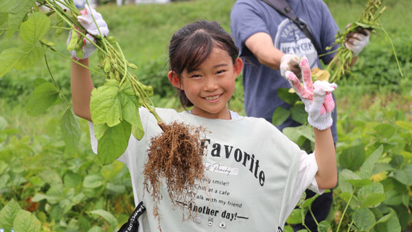 子どもたちの手で枝豆を収穫