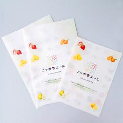購入特典の「ニッポンエールクリアファイルバッグ」