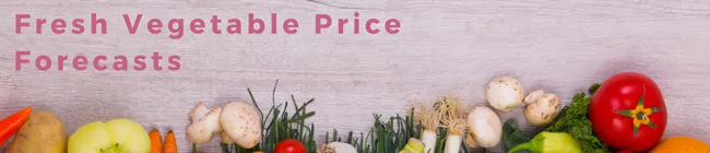 生鮮野菜を価格予測　AIコンペティションを定期開催　Nishika