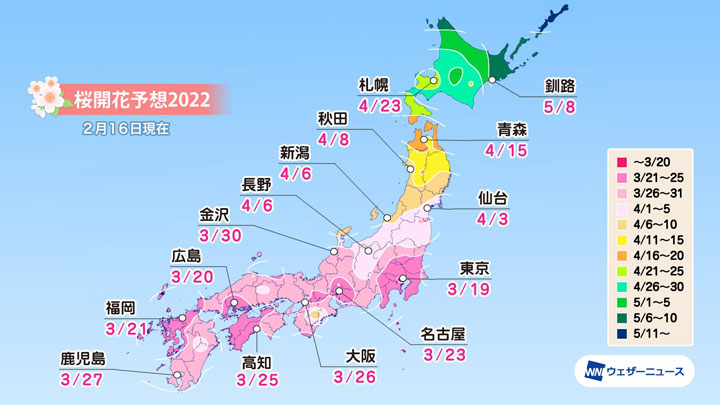 「第三回桜開花予想」発表　桜開花トップは東京で3月19日　ウェザーニューズ