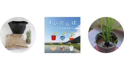 日本の米文化・米消費の意識醸成へ　稲栽培キット「まいたんぼ」販売　パナソニックs.jpg