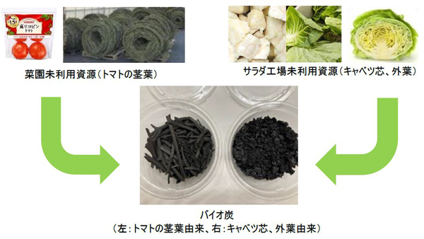 バイオ炭は、植物性バイオマスを酸素が少ない状態で加熱し炭化させたもの。土壌改良や炭素貯留に効果があるとされ、通常の堆肥と比べ分解されにくく、長期間土壌中に留まることができる特徴がある。