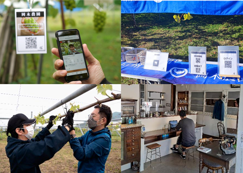 観光農園事業が「愛媛県デジタル実装加速化プロジェクト」に採択　ノウタス