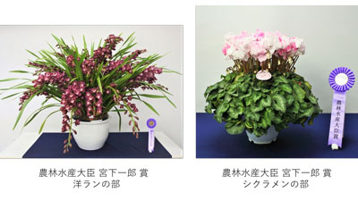 「第23回東京砧花き全国品評会」開催　農林水産大臣賞など決定_01s.jpg