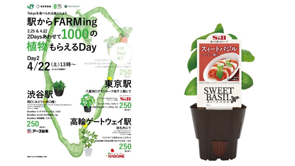 無料配布される「S&Bスィートバジル」