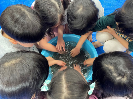 砂に水を注ぎ浮いてくるプラスチックを観察する園児