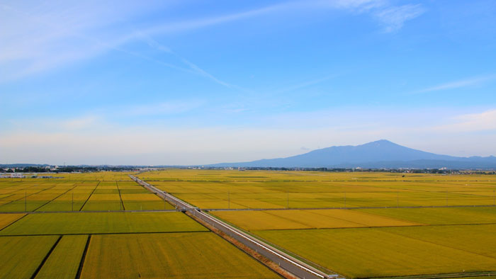 山形に新たな生産地「庄内三川ファーム」でスマート農業による米づくりに挑戦　プレナス